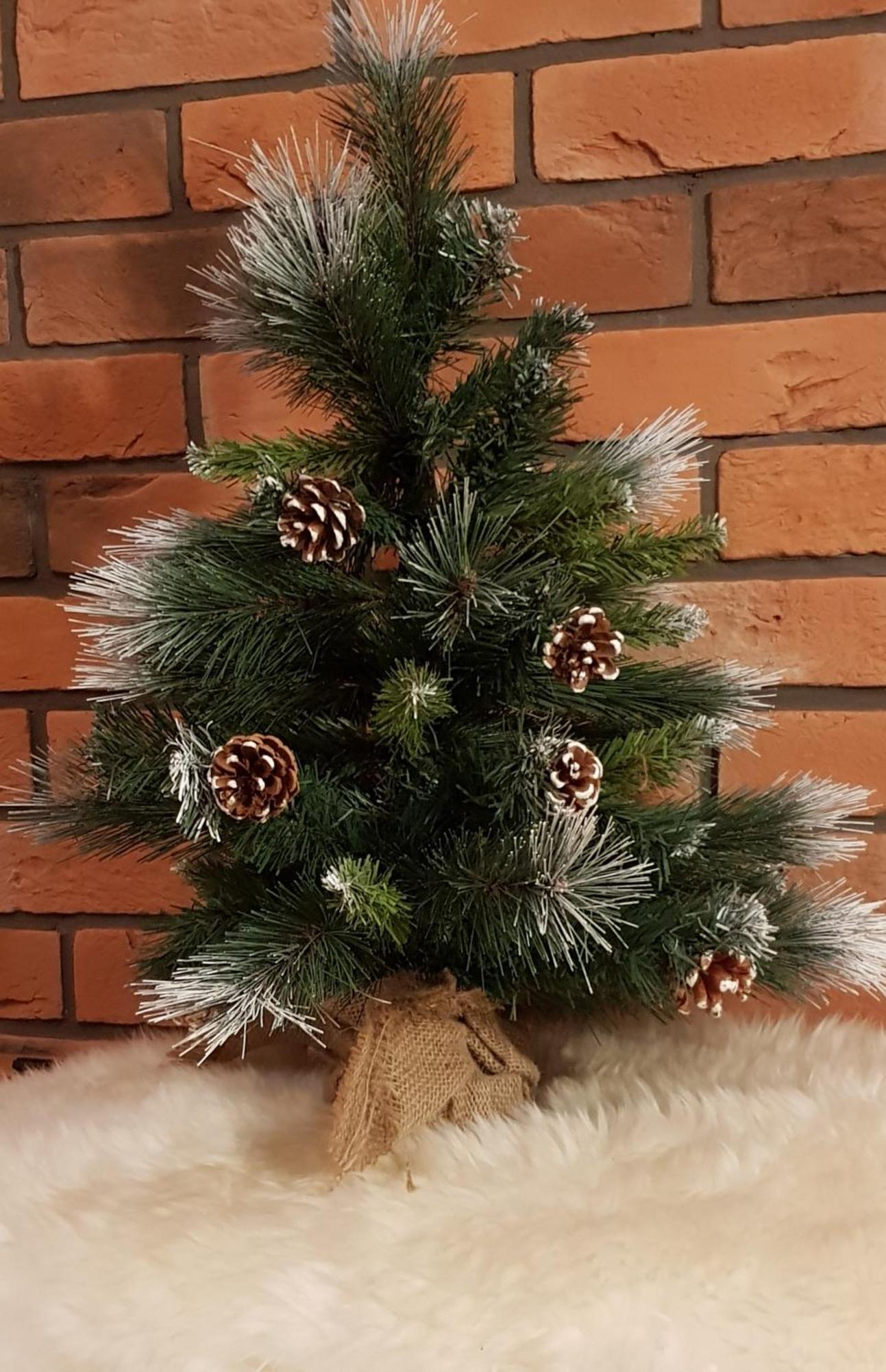 Apartamenty Bachledzki Wierch, Zakopane Extérieur photo